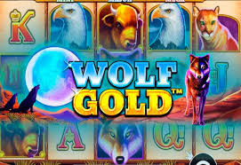 최고의 온라인 경험 wolf gold casino game 최고의 온라인 경험 wolf gold casino game