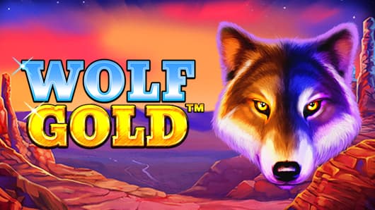 최고의 온라인 경험 wolf gold casino game 최고의 온라인 경험 wolf gold casino game